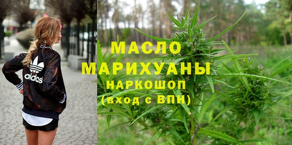 молекула духа Горняк