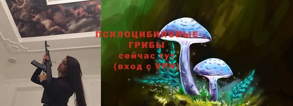 молекула духа Горняк