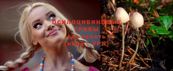 бошки Лиски