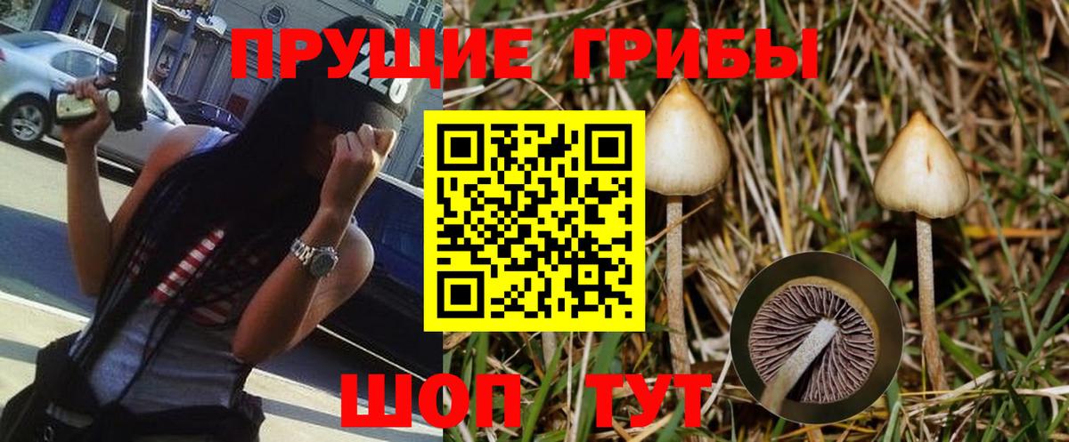 Меф   МДМА  Дедовск  Вход с VPN  Гашиш  Мефедрон  КОКАИН  Канабис 