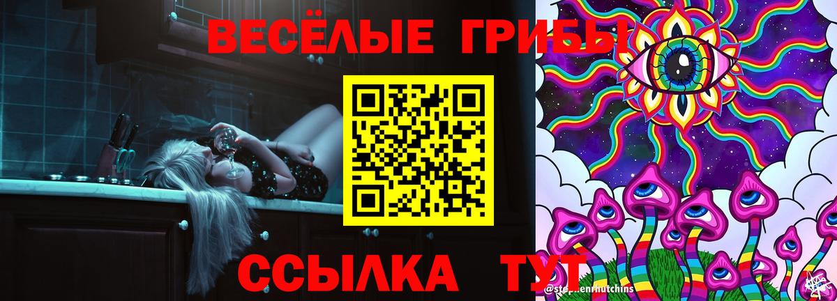 Галлюциногенные грибы GOLDEN TEACHER  Вход с VPN  цена наркотик  Дедовск 