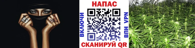даркнет сайт  Дедовск  Марихуана план 