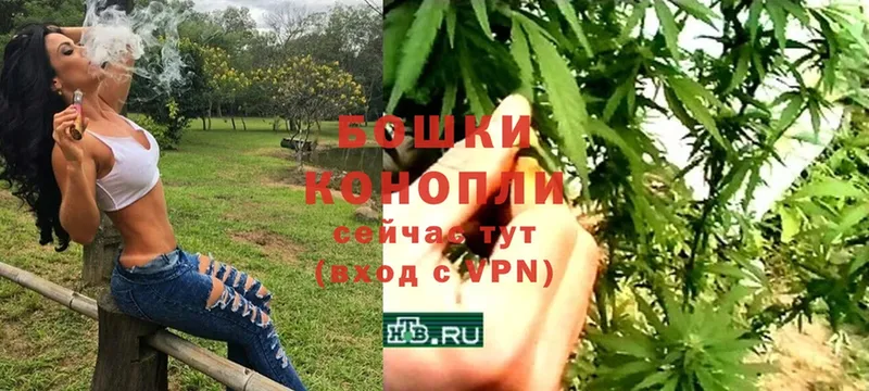 Шишки марихуана SATIVA & INDICA  Дедовск 