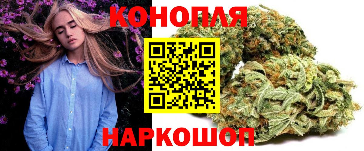 Конопля Bruce Banner  Канабис сатива  МАРИХУАНА OG Kush  Дедовск 